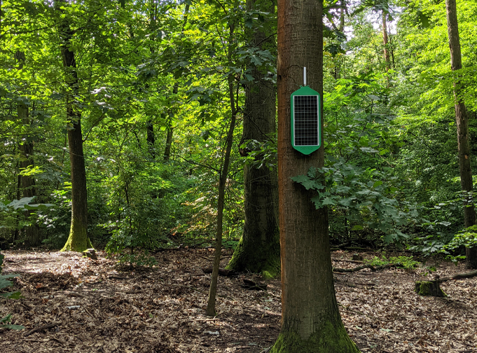 Dryad Networks Silvanet Suite, Mesh Gateway - Wildfire mitigation solution